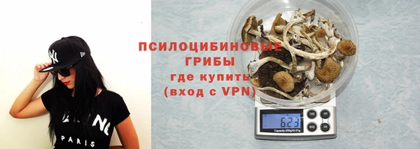 PSILOCYBIN Заводоуковск