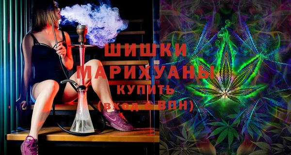 гидра Няндома