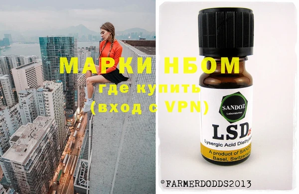 гидра Няндома