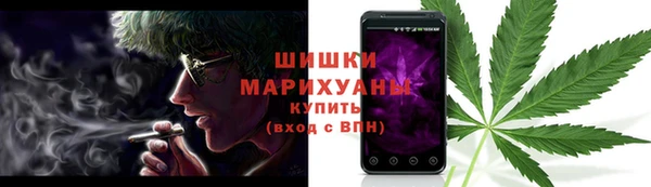 гидра Няндома