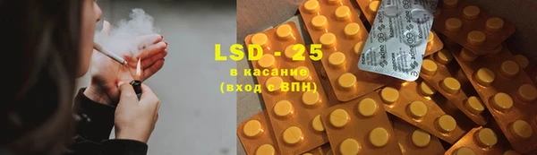гидра Няндома