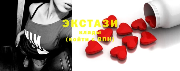 гидра Няндома
