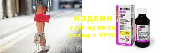 гидра Няндома