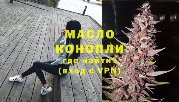 гидра Няндома