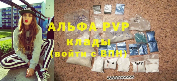 гидра Няндома