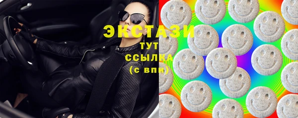 гидра Няндома