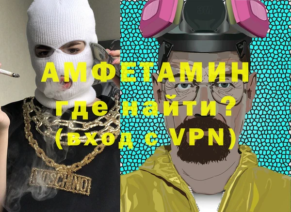 гидра Няндома