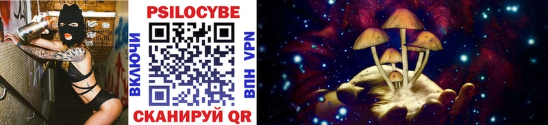 где купить mega как войти Галлюциногенные грибы Psilocybine cubensis Великий Устюг